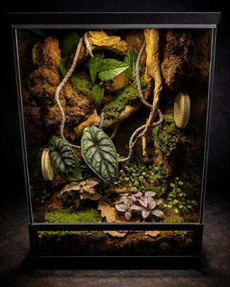 Terrario Tropicale 30x30x45