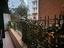 Immagine 21