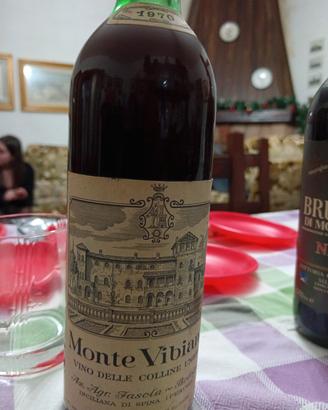 monte vibiano