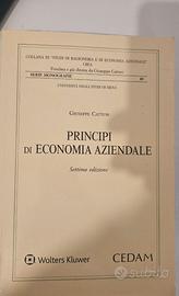 G. Catturi-"Principi di Economia Aziendale"