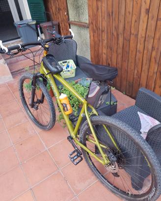 Mountain bike usata radon