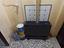Immagine 10