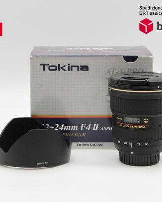 Tokina AT-X Pro 12-24 F4 DX II (Nikon)