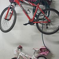 bicicletta da uomo e bambina