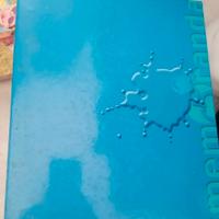 raccoglitore ad anelli 