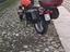 Immagine 3