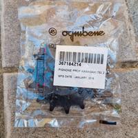 pignone kawasaki z 750