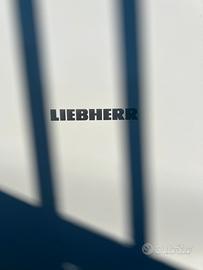 Ricambi frigorifero liebherr