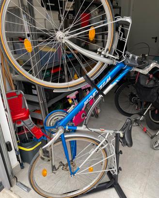 Bici donna con seggiolino