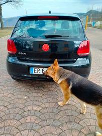 portellone  posteriore polo 6R