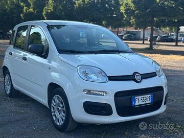 FIAT Panda 1.2 EasyPower Easy