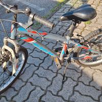 Bicicletta da bambino ruote da 20'
