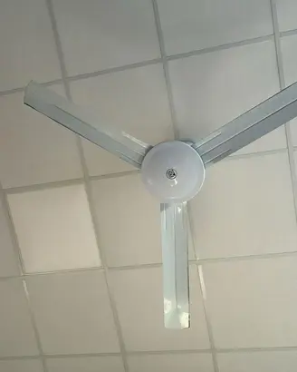vedesi nr 5 pale vortice