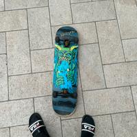 Skateboard