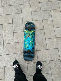 Skateboard