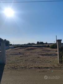 Terreno Gorgognolo Ostuni (BR) PREZZO TRATTABILE