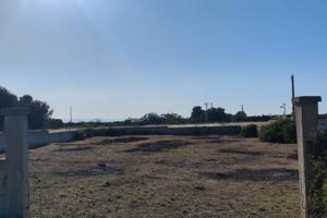Terreno Gorgognolo Ostuni (BR) PREZZO TRATTABILE