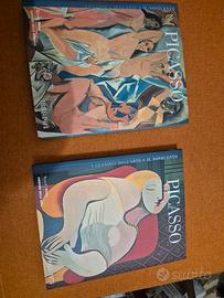  libri PICASSO