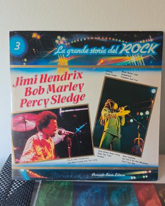 vinile Jimi Hendrix 