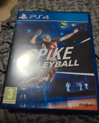 spike Volleyball