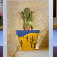 Puzzle - Anne Geddes - 900 Pezzi