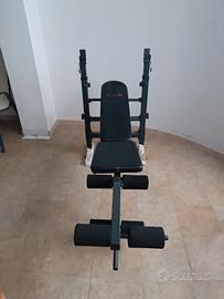 Panca da palestra 