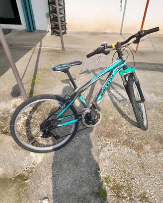 bici ruote da 24