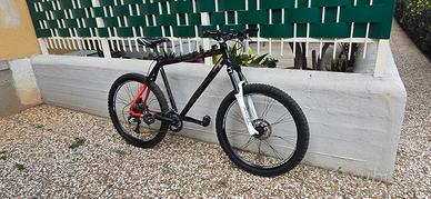 Mountain bike