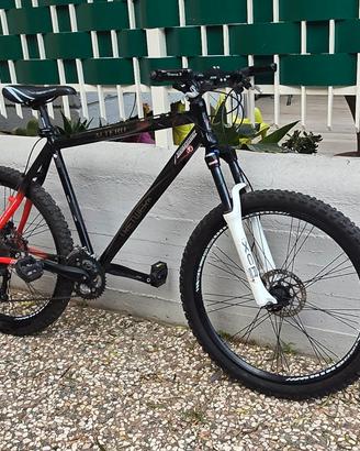 Mountain bike