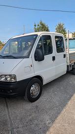 Fiat Ducato cassonato