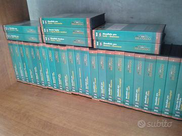 collezione 30 cassette vhs de agostini l’arte del