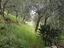 Immagine 26