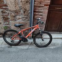 monte bike 
