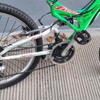 Bici MTB Lion 24