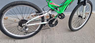Bici MTB Lion 24