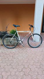 MTB vintage Diamond Back Topanga