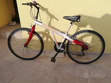 bicicletta mountain bike 