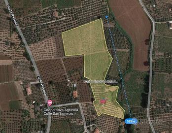 Terreno con vigneto, uliveto e pozzo e magazzino