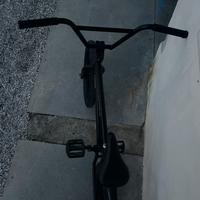 Bmx Freestyle professionale