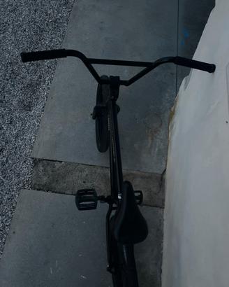 Bmx Freestyle professionale