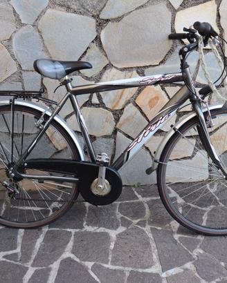bicicletta da uomo