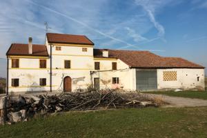 Abitazione su due livelli con giardino a nogara