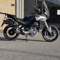 Guzzi Stelvio Anno 5- 2024