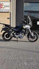 Guzzi Stelvio Anno 5- 2024