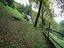 Immagine 16