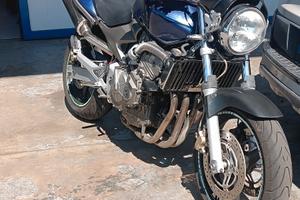 Hornet 600 2003