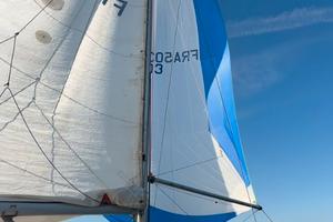 Barca a vela - Jeanneau One Design 24