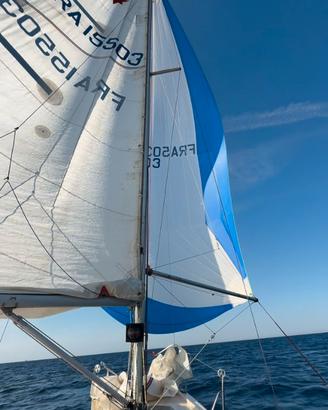 Barca a vela - Jeanneau One Design 24