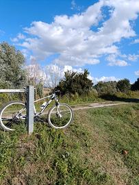 bicicletta mtb