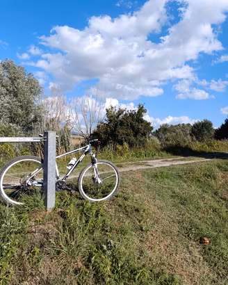 bicicletta mtb